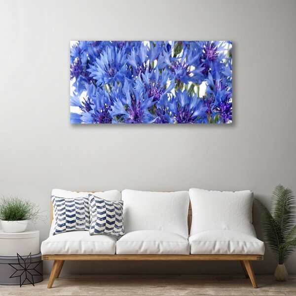 Quadro stampa su tela Fiori, piante, natura 100x50 cm