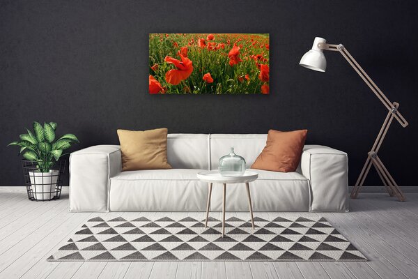Quadro su tela Natura, papaveri, piante 100x50 cm