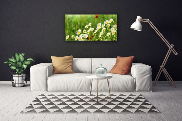 Quadro su tela Margherita, pianta, natura 100x50 cm