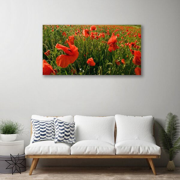 Quadro su tela Natura, papaveri, piante 100x50 cm