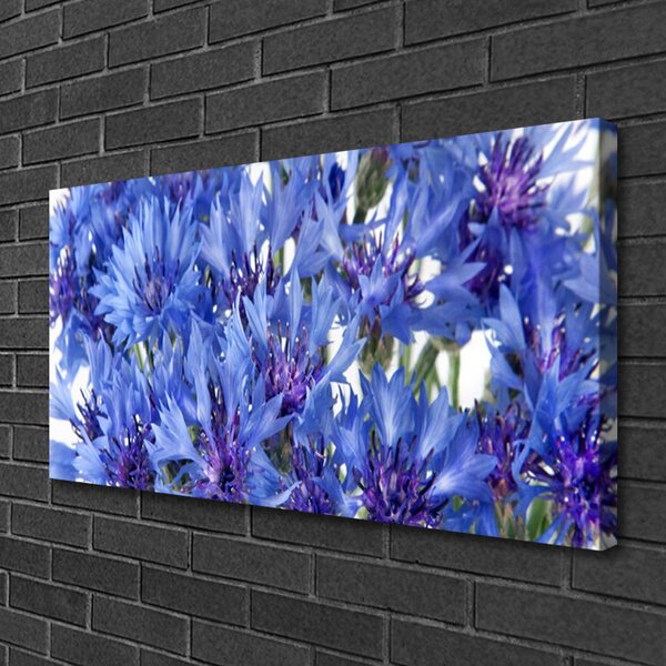 Quadro stampa su tela Fiori, piante, natura 100x50 cm