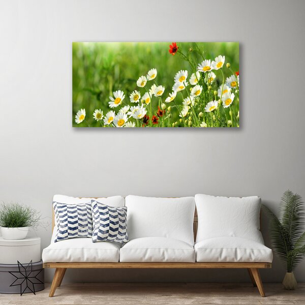 Quadro su tela Margherita, pianta, natura 100x50 cm