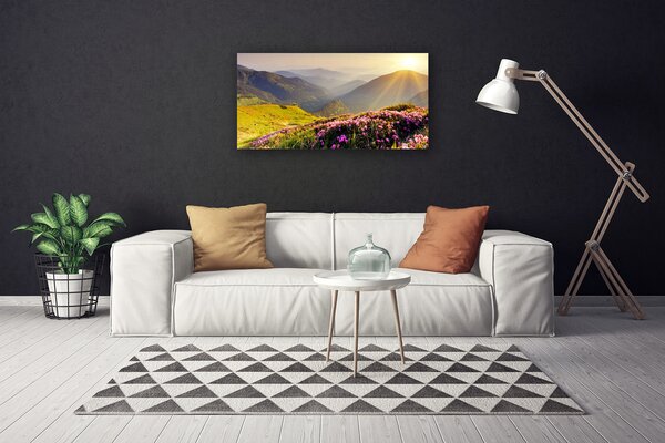 Foto quadro su tela Paesaggio del prato di montagna 100x50 cm