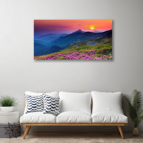 Quadro su tela Montagne. Prato. Fiori. Paesaggio 100x50 cm