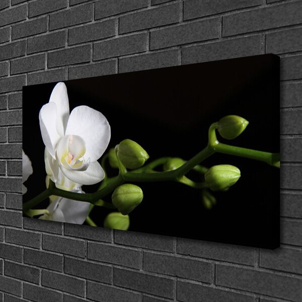 Quadro stampa su tela Fiore, pianta, natura 100x50 cm