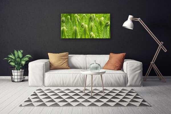 Stampa quadro su tela Pianta della natura 100x50 cm