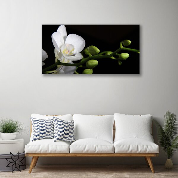 Quadro stampa su tela Fiore, pianta, natura 100x50 cm