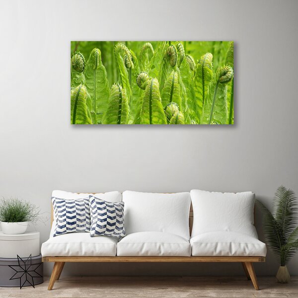 Stampa quadro su tela Pianta della natura 100x50 cm