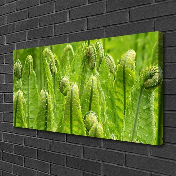 Stampa quadro su tela Pianta della natura 100x50 cm