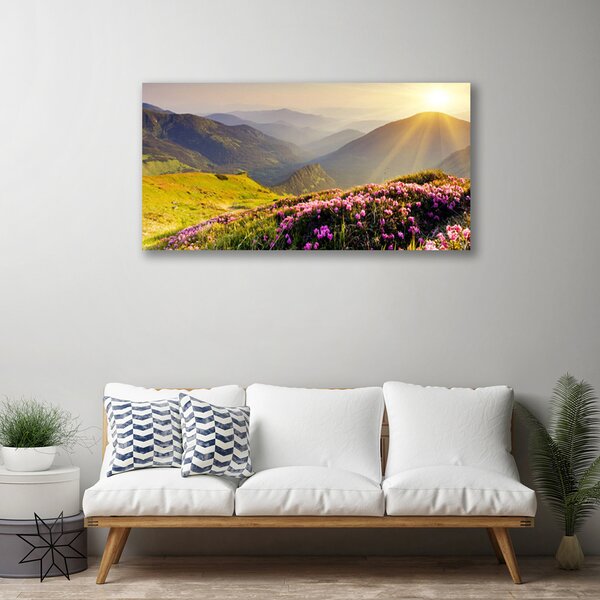 Foto quadro su tela Paesaggio del prato di montagna 100x50 cm