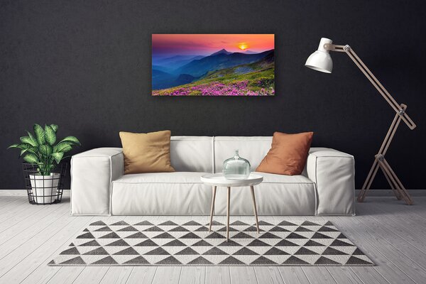Quadro su tela Montagne. Prato. Fiori. Paesaggio 100x50 cm