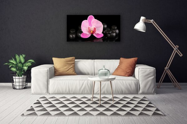Stampa quadro su tela Pianta di pietre di fiori 100x50 cm