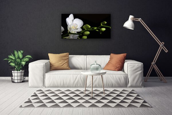 Quadro stampa su tela Fiore, pianta, natura 100x50 cm