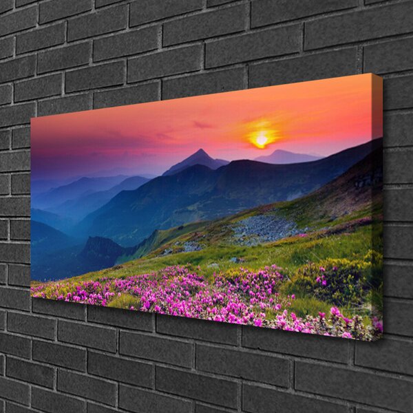 Quadro su tela Montagne. Prato. Fiori. Paesaggio 100x50 cm