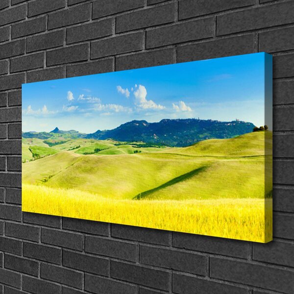 Quadro su tela Paesaggio delle montagne del villaggio 100x50 cm