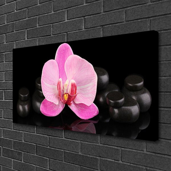 Stampa quadro su tela Pianta di pietre di fiori 100x50 cm
