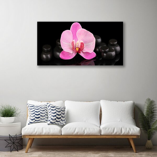 Stampa quadro su tela Pianta di pietre di fiori 100x50 cm