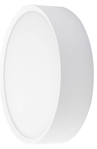 BRUMBERG Applique da esterno LED EYE aperta, bianca, CCT, IP65 Eye, Bianco / Opale, Corridoio, Alluminio