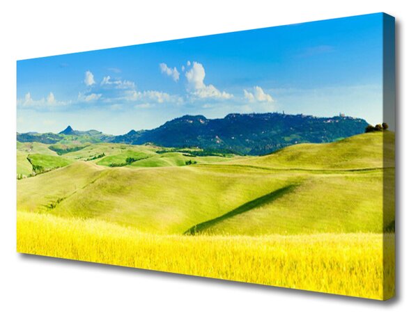 Quadro su tela Paesaggio delle montagne del villaggio 100x50 cm