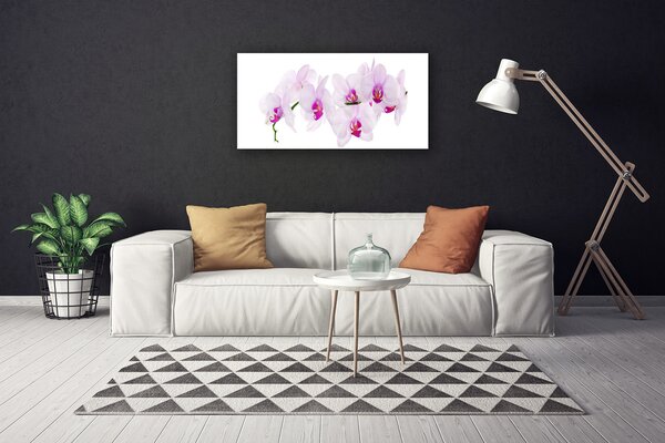 Stampa quadro su tela Fiori, piante, natura 100x50 cm