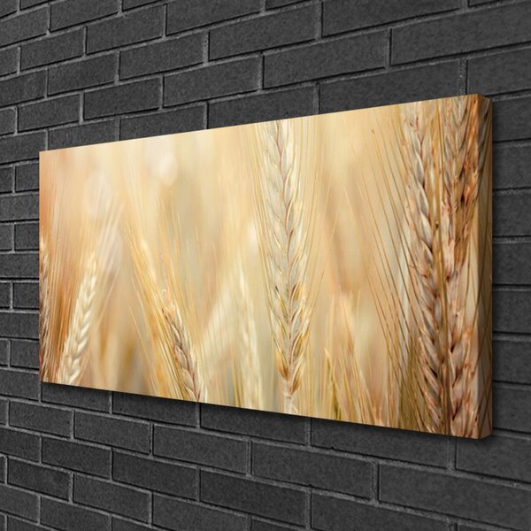 Quadro su tela Grano vegetale naturale 100x50 cm