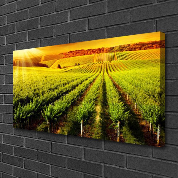Quadro su tela Campo naturale 100x50 cm