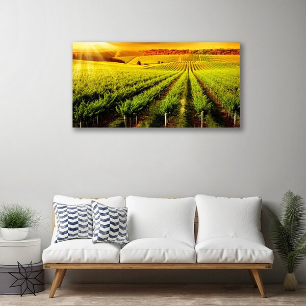 Quadro su tela Campo naturale 100x50 cm