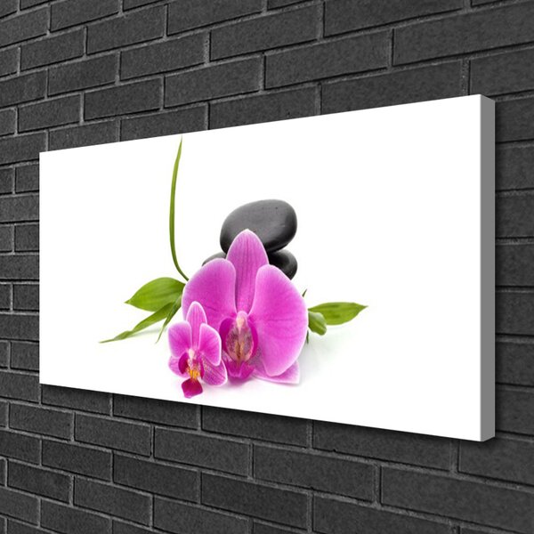 Quadro su tela Pianta di pietre di fiori 100x50 cm