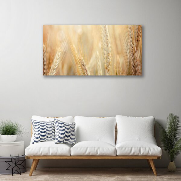 Quadro su tela Grano vegetale naturale 100x50 cm