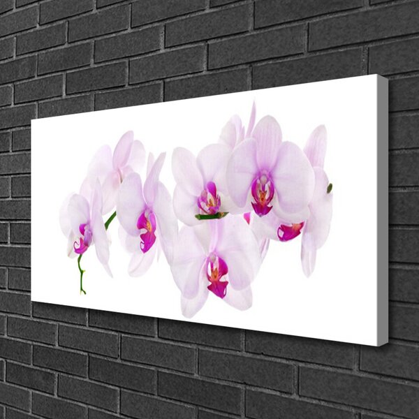 Stampa quadro su tela Fiori, piante, natura 100x50 cm