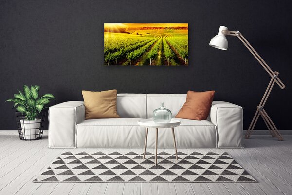 Quadro su tela Campo naturale 100x50 cm