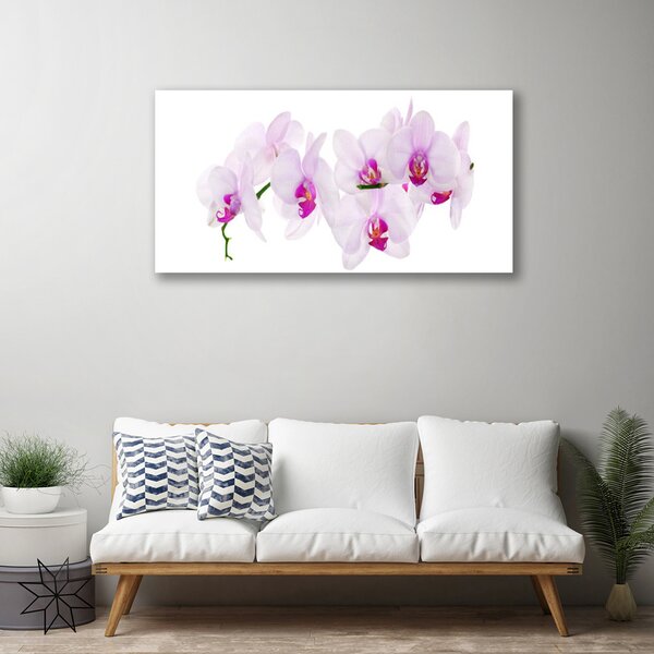 Stampa quadro su tela Fiori, piante, natura 100x50 cm