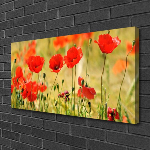 Quadro su tela Natura, papaveri, piante 100x50 cm