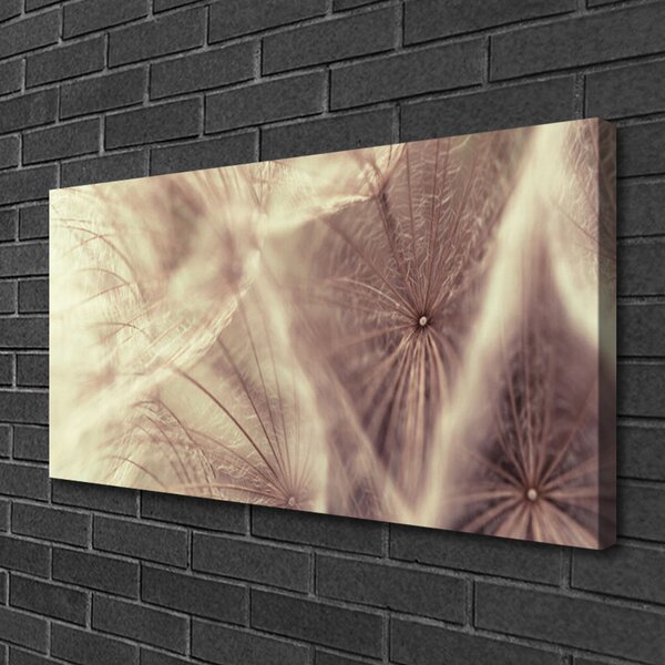 Quadro stampa su tela Pianta di tarassaco 100x50 cm