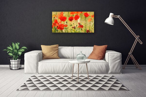 Quadro su tela Natura, papaveri, piante 100x50 cm