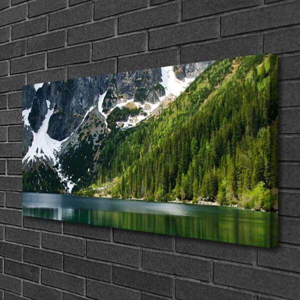 Quadro su tela Paesaggio di montagna del lago forestale 100x50 cm