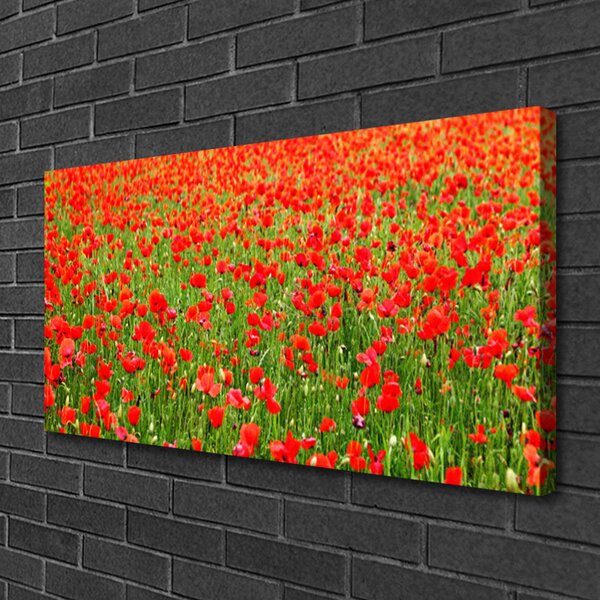 Quadro su tela Natura, papaveri, piante 100x50 cm