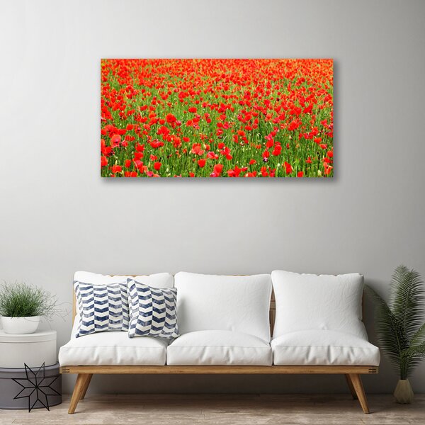 Quadro su tela Natura, papaveri, piante 100x50 cm