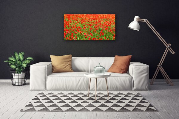 Quadro su tela Natura, papaveri, piante 100x50 cm