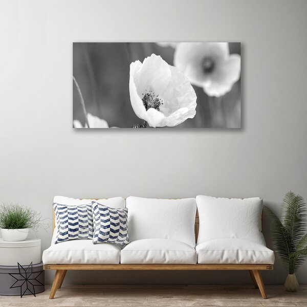Quadro su tela Natura, papaveri, piante 100x50 cm
