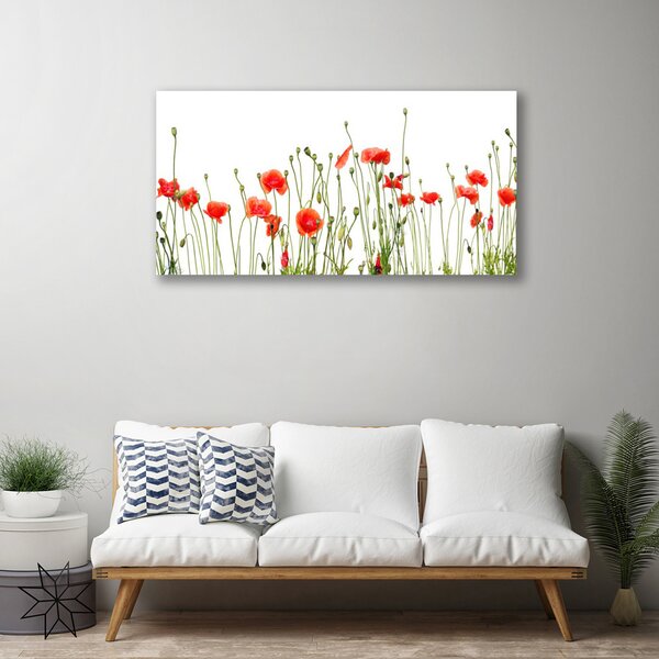 Quadro su tela Natura, papaveri, piante 100x50 cm