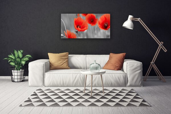 Quadro su tela Natura, papaveri, piante 100x50 cm