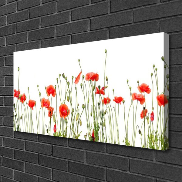Quadro su tela Natura, papaveri, piante 100x50 cm