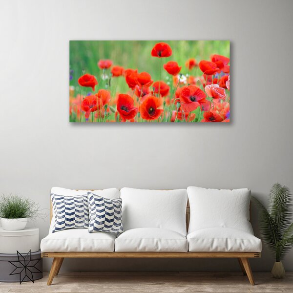Quadro su tela Natura, papaveri, piante 100x50 cm