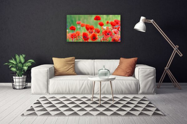 Quadro su tela Natura, papaveri, piante 100x50 cm