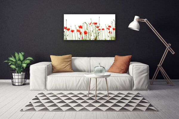 Quadro su tela Natura, papaveri, piante 100x50 cm