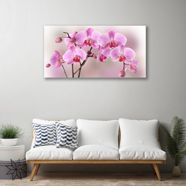 Stampa quadro su tela Fiori, piante, natura 100x50 cm