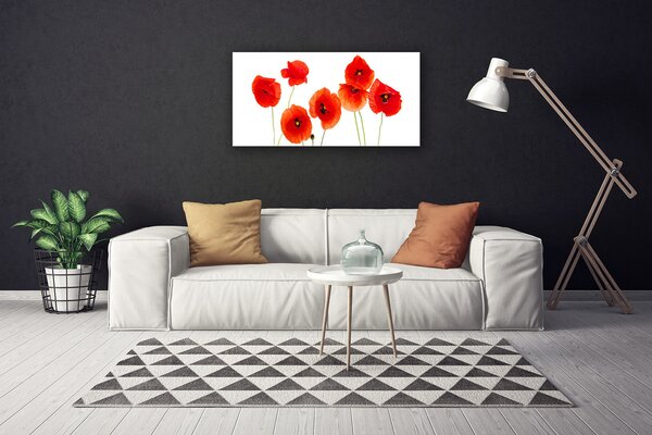 Quadro su tela Natura, papaveri, piante 100x50 cm