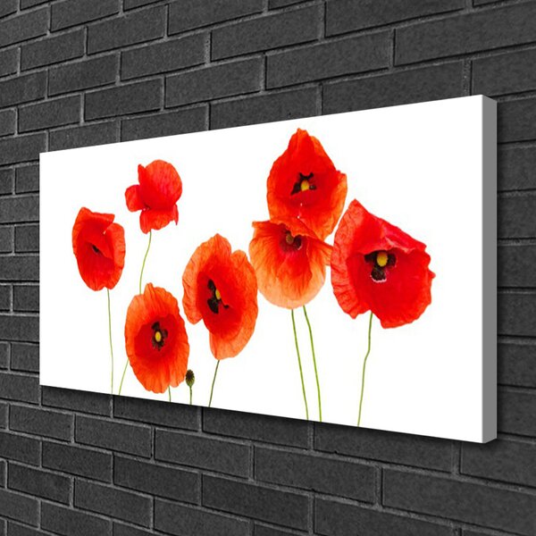 Quadro su tela Natura, papaveri, piante 100x50 cm