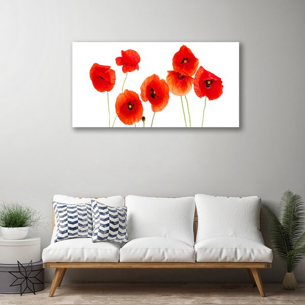 Quadro su tela Natura, papaveri, piante 100x50 cm